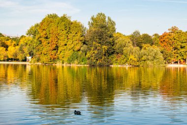 Güzel bir sonbahar akşamında, parkın ortasında güzel renkli ağaçlarla çevrili büyük bir göl manzarası..