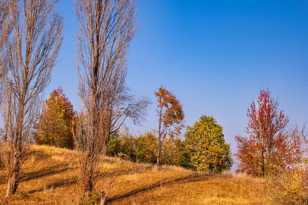 在一个小村庄附近的一座美丽的小山上 夜晚的阳光 树木稀少 秋天的色彩斑斓 — 图库照片