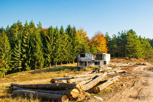 Vista Edifício Abandonado Perto Uma Floresta Colorida Outono Com Troncos — Fotografia de Stock