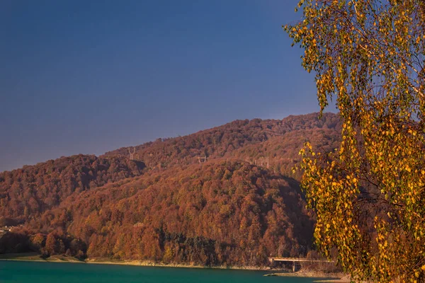 在秋天的一个阳光灿烂的日子里 美丽的风景穿过森林环绕的湖中的树木 — 图库照片