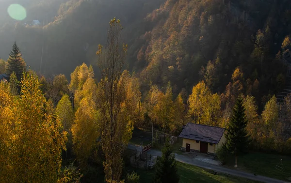 Krásný Výhled Osamělý Dům Shora Obklopený Lesy Barevnými Stromy Slunečného — Stock fotografie