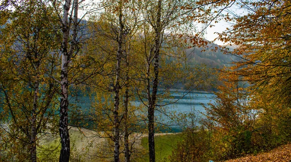 Bela Vista Através Das Árvores Lago Cercado Por Florestas Dia — Fotografia de Stock