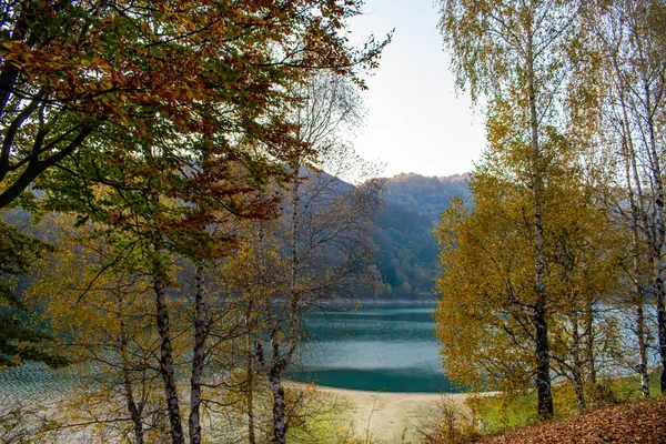 가을의 숲으로 둘러싸인 호수의 나무들 사이로 아름다운 — 스톡 사진