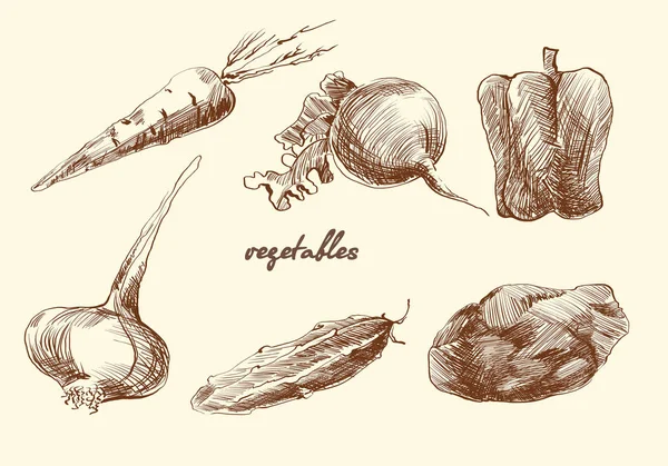 Set of vegetables. Sketch. Pencil drawing. Vector — Stock Vector