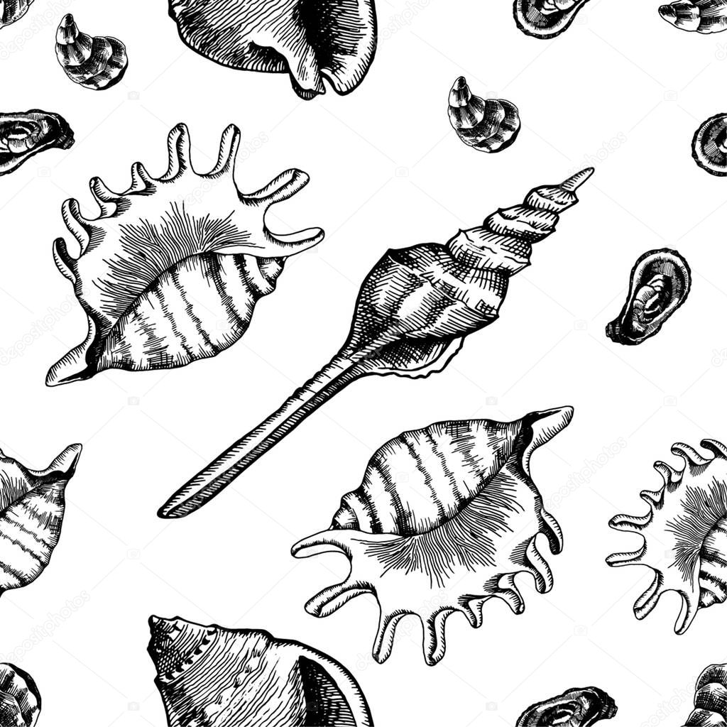 Seamless pattern with seashells. Marine wallpapers. Vector