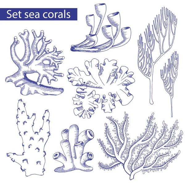 Conjunto de corales. Boceto. Plantas submarinas. Vector — Vector de stock