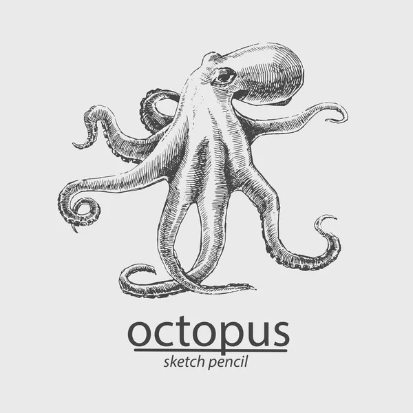 Octopus. Een mariene inwoner. Schets stijl. Vector — Stockvector