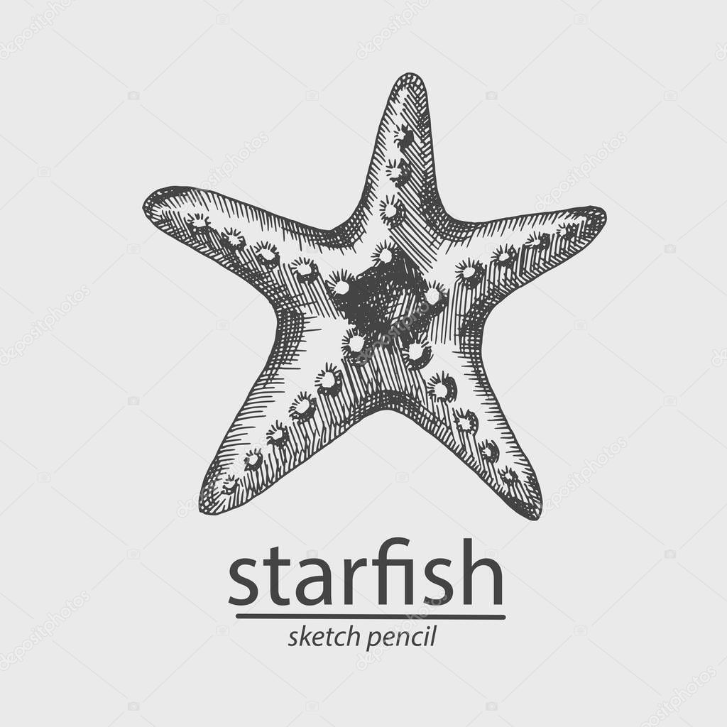 Starfish. Animal. A marine resident. Sketch Style. Vector