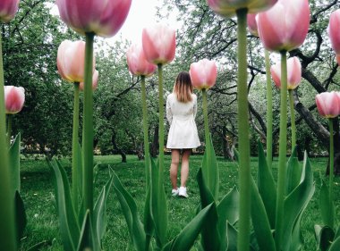 Güzel kız sihirli lale bahçesinde. Alice Harikalar Diyarında