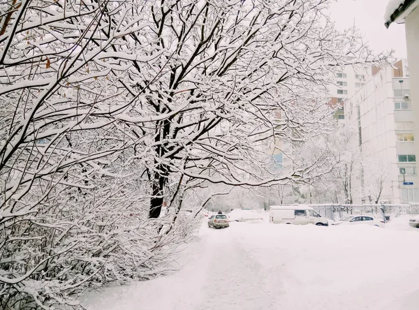 美丽的白色雪在俄罗斯的圣诞节 — 图库照片