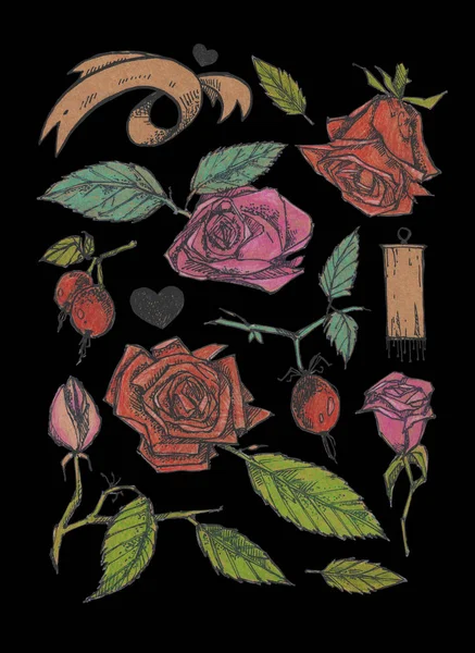 Beautiful roses, leaves, dog-rose. Hand drawn illustrated set. Gentle ink flower colored collection. It can be printed on t-shirts, cards, or used as ideas for tattoos, stickers. Isolated on black.