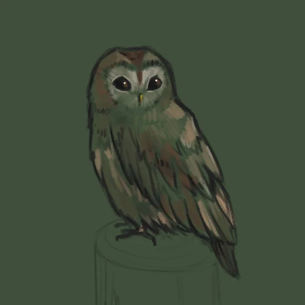 Sketch style illustration with owl. Cute little owl character. Bird creature.