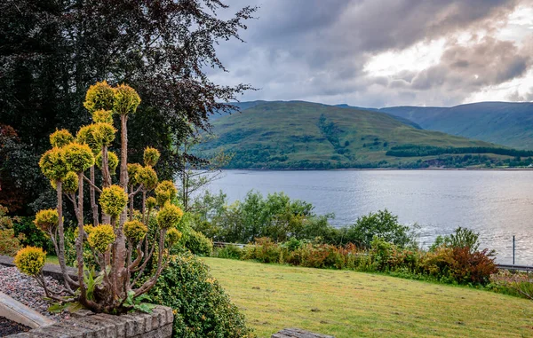 Schots Landschap Met Planten Bomen Loch Linnhe Achtergrond Loch Linnhe — Stockfoto