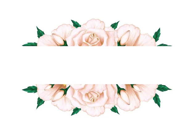 Rama Ręcznego Rysowania Beżowe Róże Zielone Liście Białym Tle Dekoracyjny — Zdjęcie stockowe