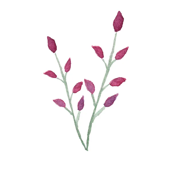 Handgezeichnete Aquarell-rosa Blumen auf weißem Hintergrund. — Stockfoto