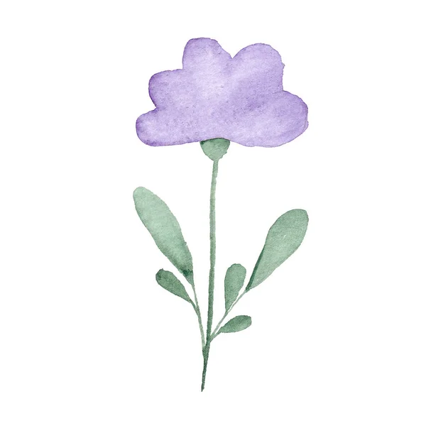 Handgezeichnetes Aquarell violette Blume mit grünen Blättern — Stockfoto