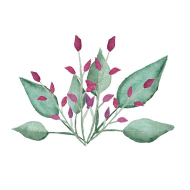 Yeşil yaprakları ile el çizilmiş suluboya kırmızı çiçekler