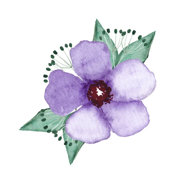 Handgezeichnetes Aquarell violette Blume mit grünen Blättern — Stockfoto