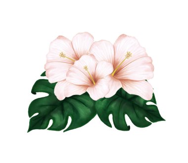 Bej yaprakları, tropikal yaprakları ve beyaz arka plan üzerinde çiçek elemanları ile hibiscus çiçekler ikaz buket.