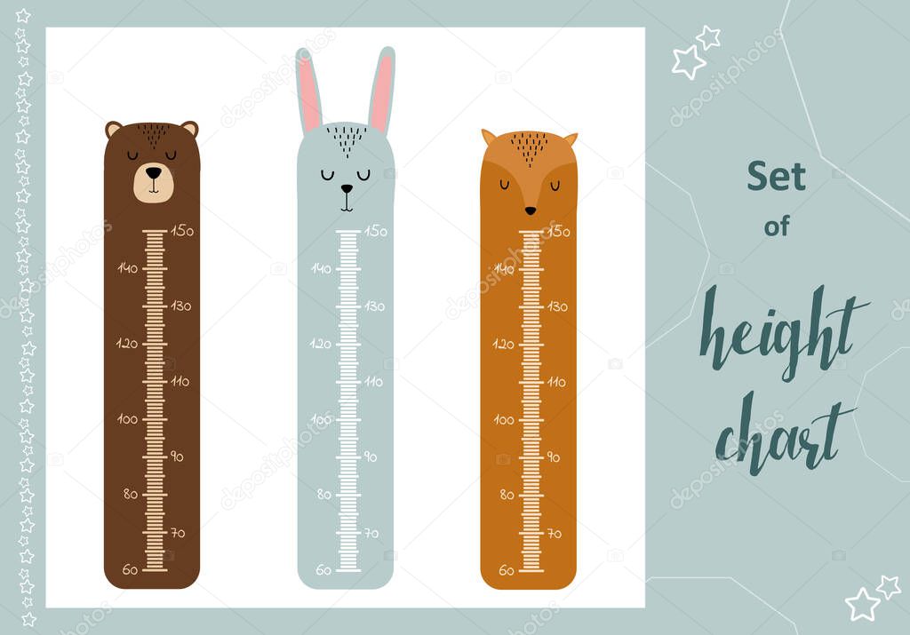 Kids space height chart. Cute wall meter with funny animals. Vector template. Cartoon zoo. Design of childrens products in scandinavian style.
