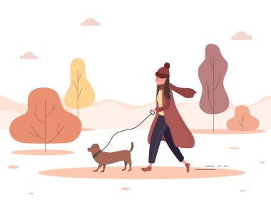 Sonbahar arkaplanı. Genç bir kadın köpekle ormanda yürüyor. Kahverengi ceketli, dachshund ya da kanişi olan mutlu bir kız düşünün. Düz biçimli vektör illüstrasyonu.