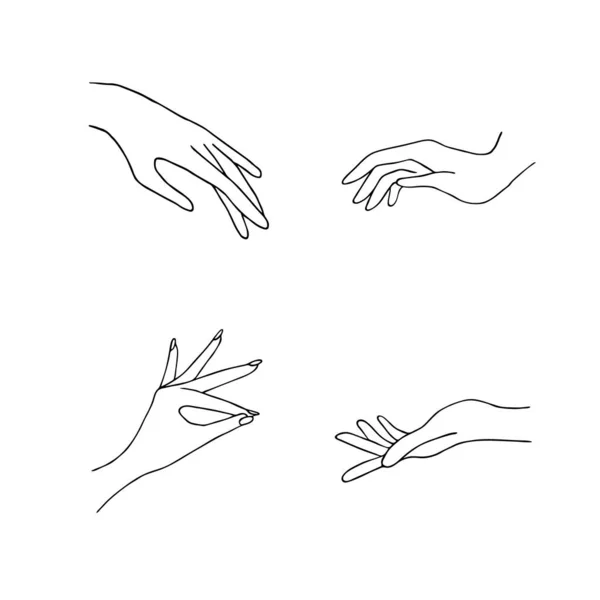 Ícones de mão de mulheres. Elegantes mãos femininas de gestos diferentes. Lineart em um estilo minimalista na moda. Ilustração vetorial. EPS10. — Vetor de Stock