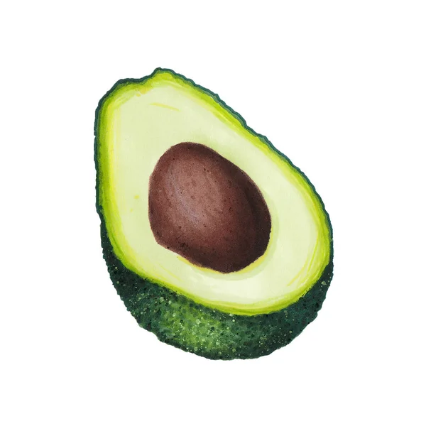 Avocado isoliert auf weißem Hintergrund. Keto Diät-Handzeichnung. Bio-Lebensmittel. Konzept für gesunde Ernährung, Paläoprodukte, Etikett, Banner, Verpackung. Dekoratives Element für Logo oder Textil. — Stockfoto