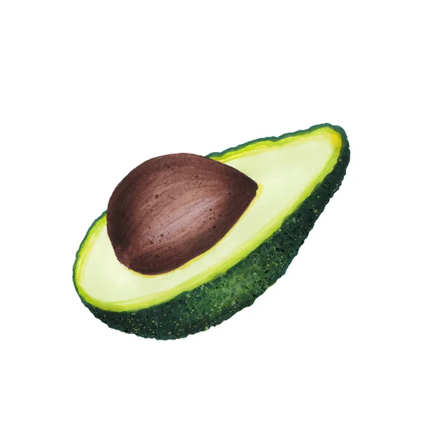 Avocado isoliert auf weißem Hintergrund. Keto Diät-Handzeichnung. Bio-Lebensmittel. Konzept für gesunde Ernährung, Paläoprodukte, Etikett, Banner, Verpackung. Dekoratives Element für Logo oder Textil. — Stockfoto