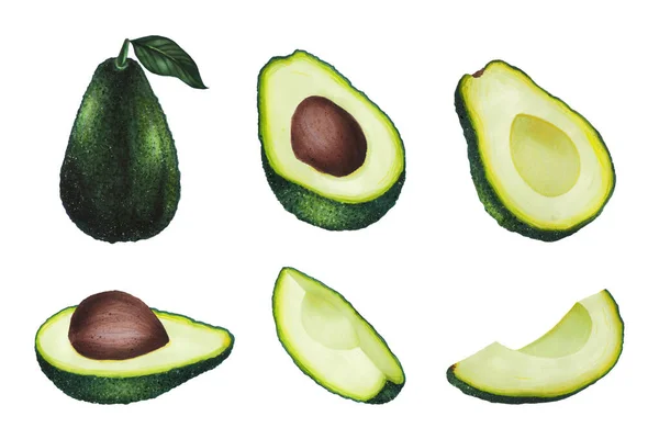 Set di avocado con foglia isolata su sfondo bianco. Disegno a mano dieta Keto. Cibo biologico. Note di alimentazione, prodotti paleo, etichetta, banner, packaging. Elemento decorativo per logo o tessile. — Foto Stock