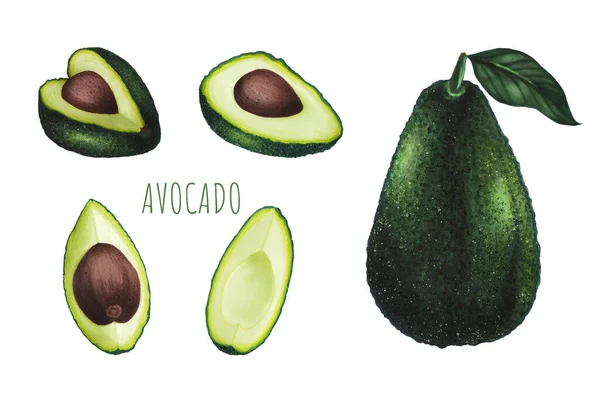 Conjunto de aguacate con hoja aislada sobre fondo blanco. Dibujo manual de dieta Keto. Comida ecológica. Concepto de alimentación saludable, productos paleo, etiqueta, banner, embalaje. Elemento decorativo para logotipo o textil. — Foto de Stock