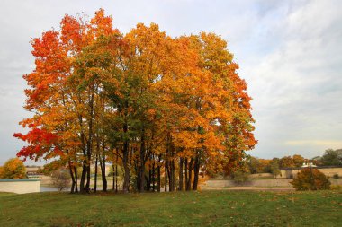 Güzel sonbahar günü şehir parkı