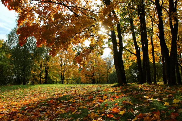 Beautiful Autumn Day City Park — Stock Photo, Image