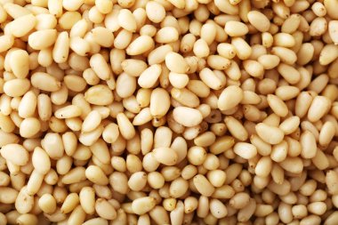 Kabuklu çam fıstığının arka plan dokusu. Sedir.