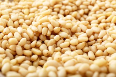 Kabuklu çam fıstığının arka plan dokusu. Sedir.