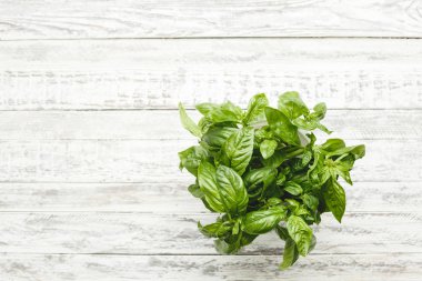 Ahşap beyaz arka planda taze fesleğen yaprakları. Kopyalama alanı ile üstte görünüm.