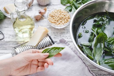 Pesto yapma - peynir, fındık ve zeytinyağı. Ahşap beyaz arka planda kadın ellerde fesleğen.