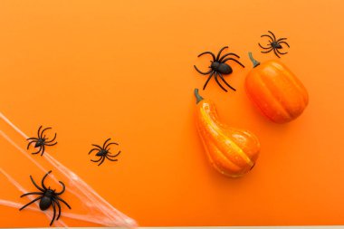 Turuncu arka plan üzerinde Cadılar Bayramı sembolleri olarak kabaklar, örümcek ağı ve örümcekler ile Halloween arka plan. Mutlu Cadılar Bayramı konsepti. Çerçeve.