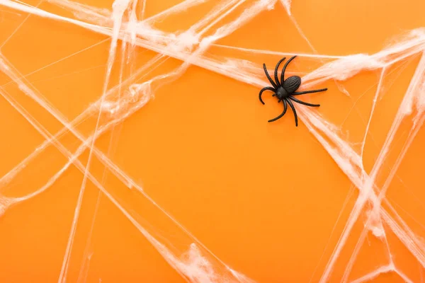 Halloween background with spider web and spiders as symbols of Halloween on the orange background. Happy Halloween concept. Frame. — Stock Photo, Image