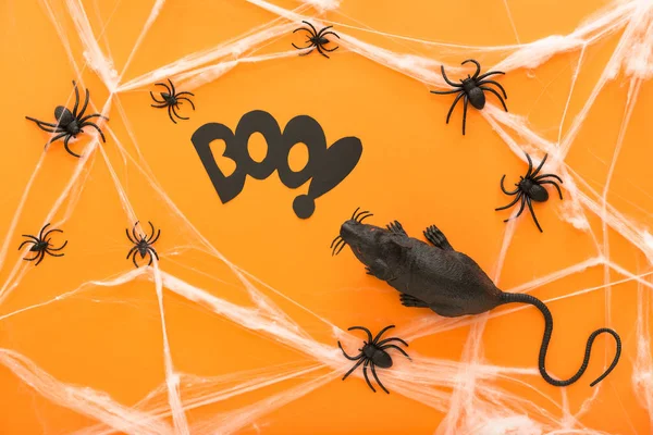 Halloween decorations with spiders, web, rat and spiders as symbols of Halloween on the orange background. Happy Halloween concept.