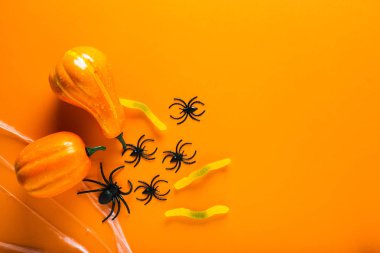 Turuncu arka plan üzerinde Cadılar Bayramı sembolleri olarak kabak, şeker solucanı, örümcek ağı ve örümcekler ile Halloween arka plan. Mutlu Cadılar Bayramı konsepti. Kopyalama alanı ile üstte görünüm.