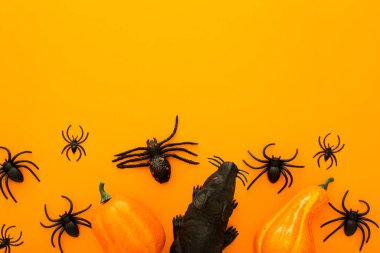 Süslemeleri ile Halloween arka plan: kabaklar, siyah sıçan ve farklı örümcekler, turuncu arka plan üzerinde Cadılar Bayramı sembolleri olarak. Mutlu Cadılar Bayramı konsepti. Kopyalama alanı ile üstte görünüm.