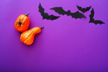 Mor arka plan üzerinde uçan kabaklar, örümcek ve siyah kağıt yarasalar ile Halloween arka plan, . Kopya alanı. Cadılar Bayramı ve dekorasyon konsepti.