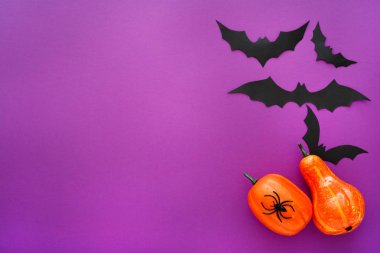 Mor arka plan üzerinde uçan kabaklar, örümcek ve siyah kağıt yarasalar ile Halloween arka plan, . Kopya alanı. Cadılar Bayramı ve dekorasyon konsepti.