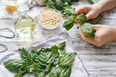 Peynir, çam fıstığı, zeytinyağı, fesleğen pişirme için yeşil fesleğen bitki yaprakları toplama kadın elleri. Eko kavramı, sağlıklı beslenme, çevre dostu, sağlıklı pişirme, otlar 