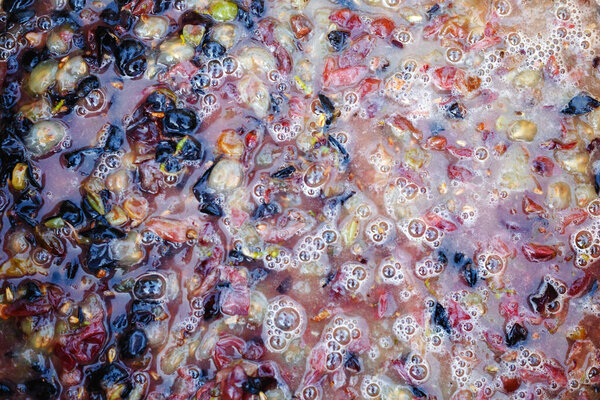 Fermentation of the pulp from berries for wine. Technology of wine production. The folk tradition of making wine. Wine processing.