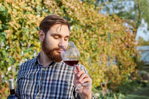 Portrait of handsome wine maker holding in his hand bottle and a glass of red wine and tasting it, checking wine quality while standing in vineyards. Small business, Homemade wine making concept