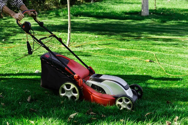 Jardinier par tondeuse électrique coupant l'herbe verte dans le jardin. Jardin prairie coupe de pelouse. Un ouvrier a coupé un champ d'herbe. Concept de soins d'arrière-cour . — Photo