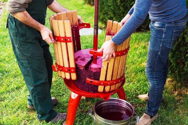 Enólogos abren máquina de prensa de vino con mosto tinto, tornillo helicoidal después de recoger el jugo del mosto de uva. Concepto de pequeña empresa artesanal. Cosecha de uva. Equipos especiales para la vinificación . —  Fotos de Stock