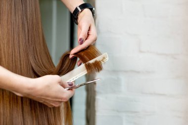 Kuaför saçını kesiyor. Profesyonel kuaför makası, iş yerinde fırça. Profesyonel kuaför aletleri, ekipmanlar. Kuaför servisi. Güzellik salonu servisi. Metin için boşluk ile kapat