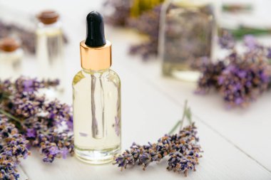 Lavanta esanslı cam şişe serum damlatıcısı beyaz ahşap kırsal masa üzerinde taze lavanta çiçekleri. Aromaterapi tedavisi, doğal spa kozmetik ürünleri, eczacı lavanta bitkisi. Cilt kılı kozmetiği